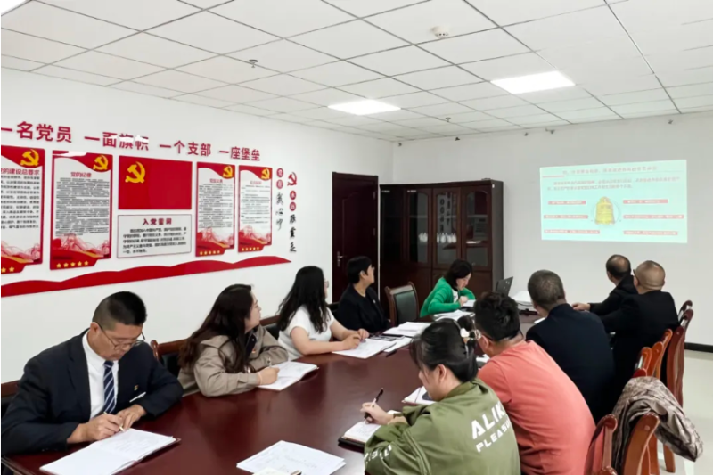 臨空公司黨支部開展“黨課明志強根基 誓言錚錚擔使命”迎七一主題黨日活動